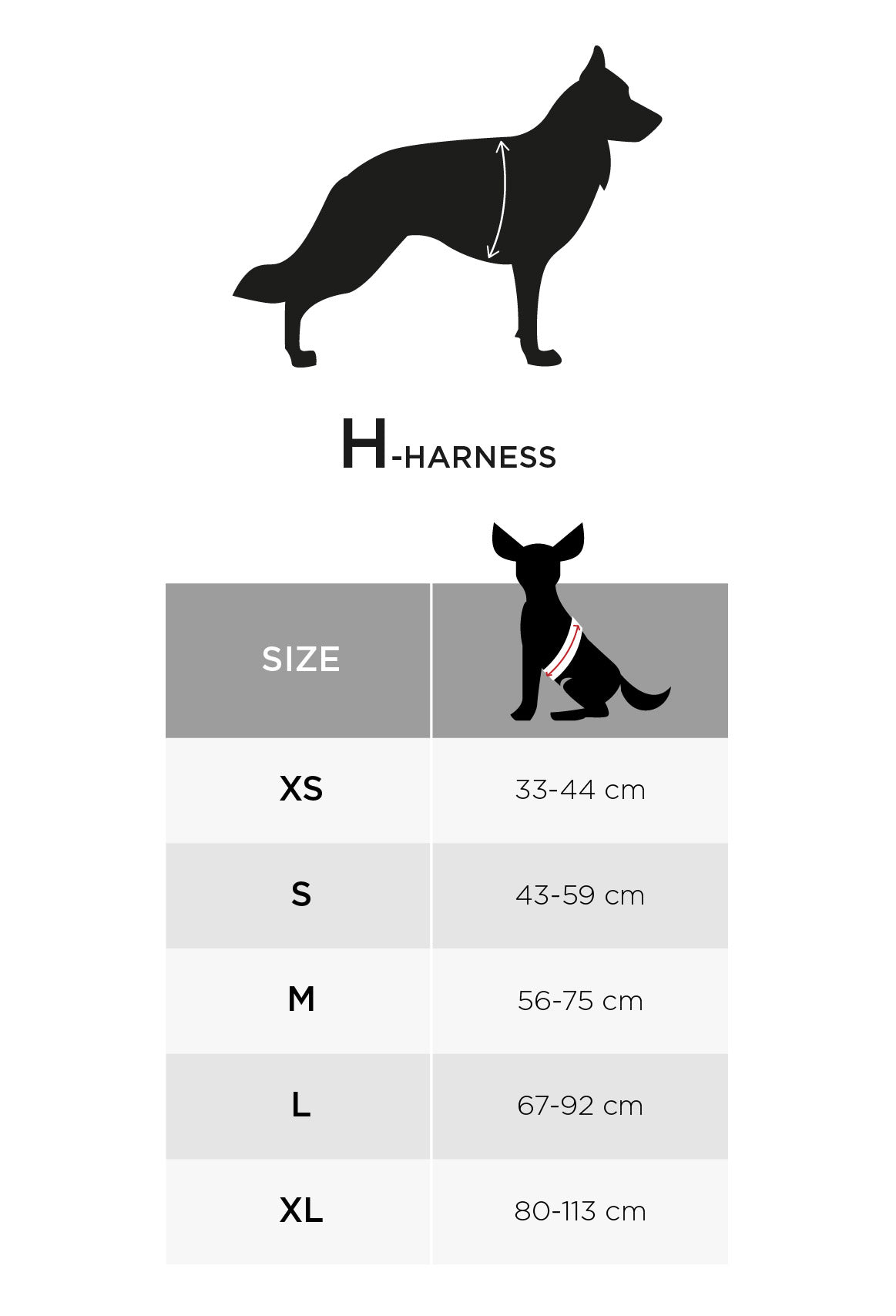 Arnés con chip para Perros - Memopet