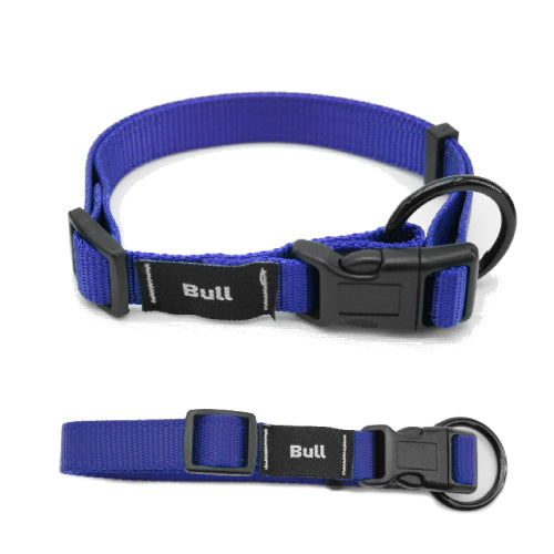 Collar para Perros - Seguridad