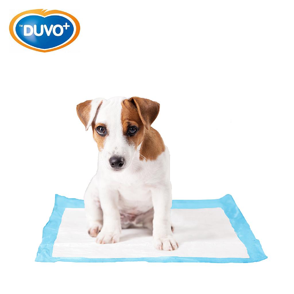 Empapadores de Orina para Perros - Duvo