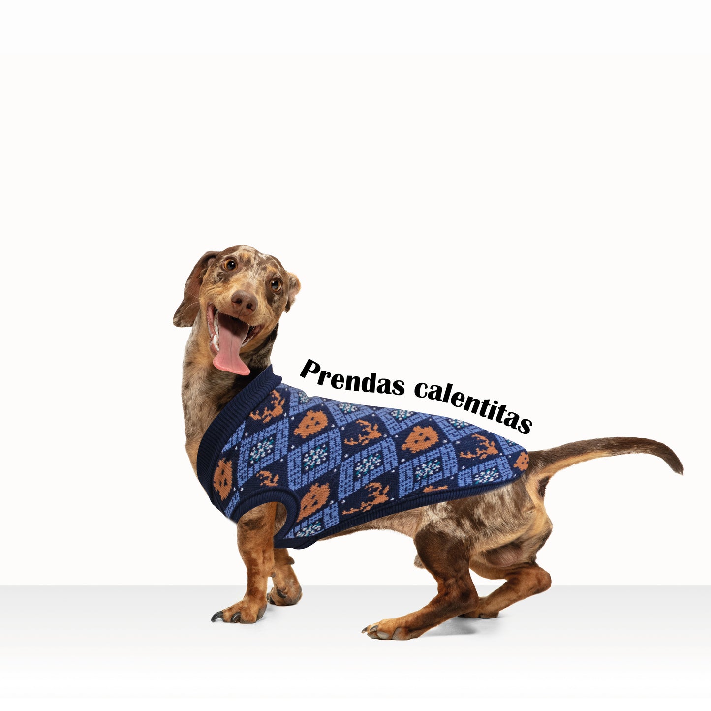 Jersey para Perros - Navideño Azul