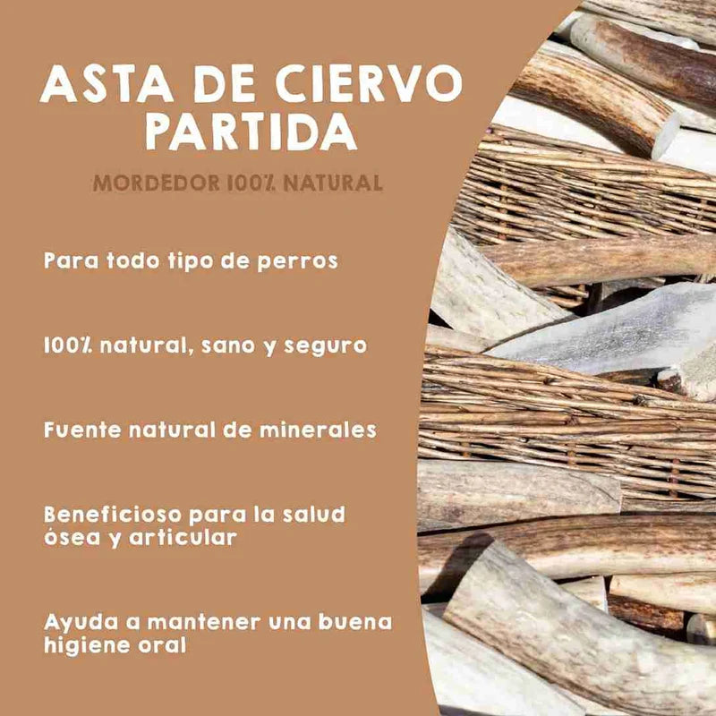 Media Asta de Ciervo - Maikai