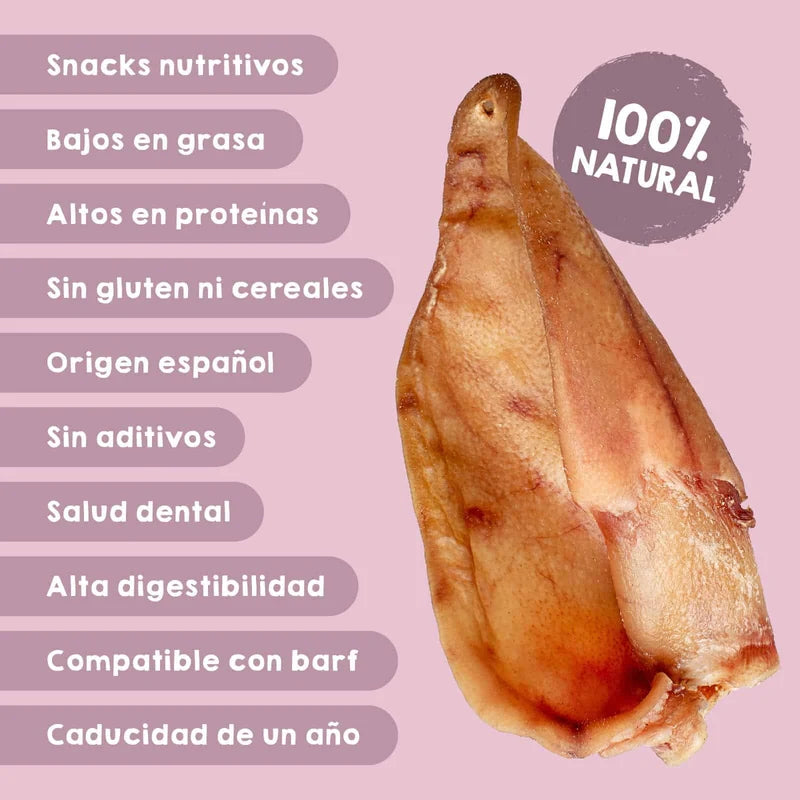 Oreja de Cerdo - Maikai