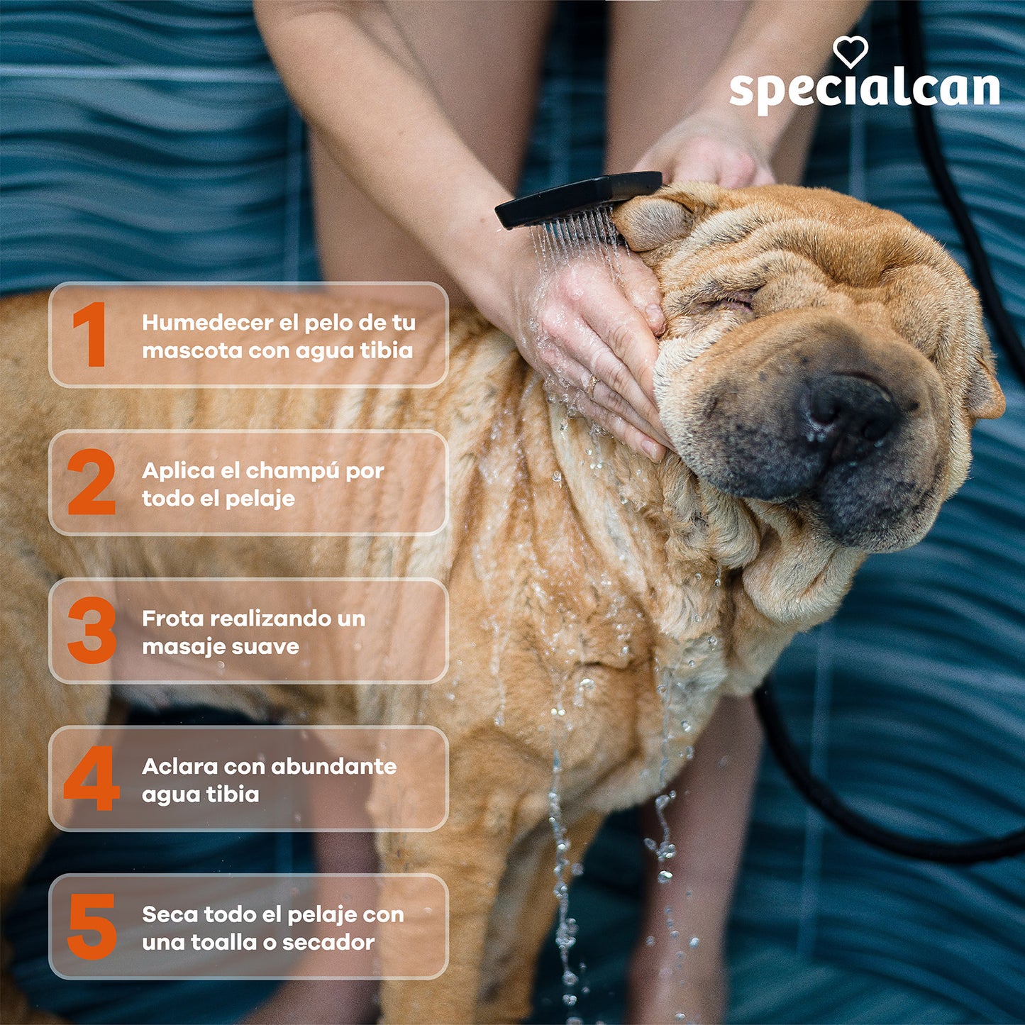 Champús para Perros - Specialcan