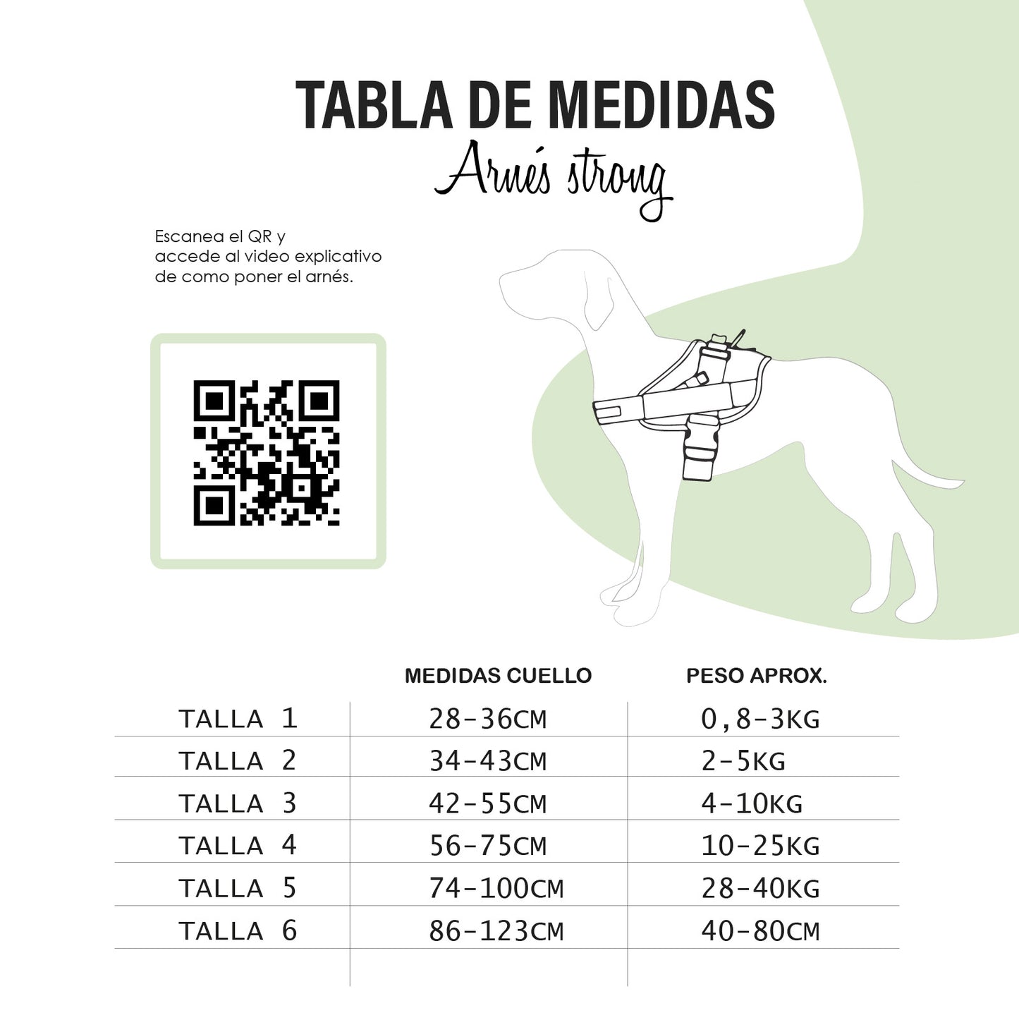 TXAKUR ARNESA - STRONG TERRAZO - BULL