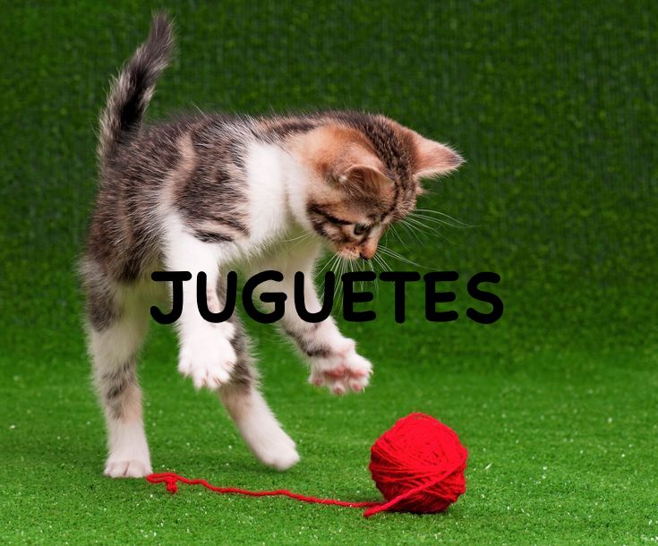 Juguetes para gatos