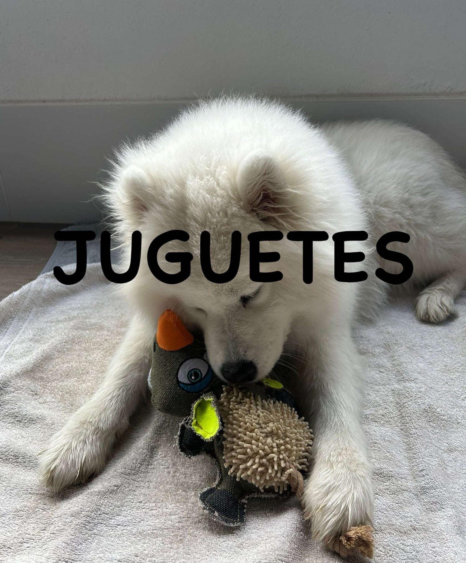 Juguetes para perros
