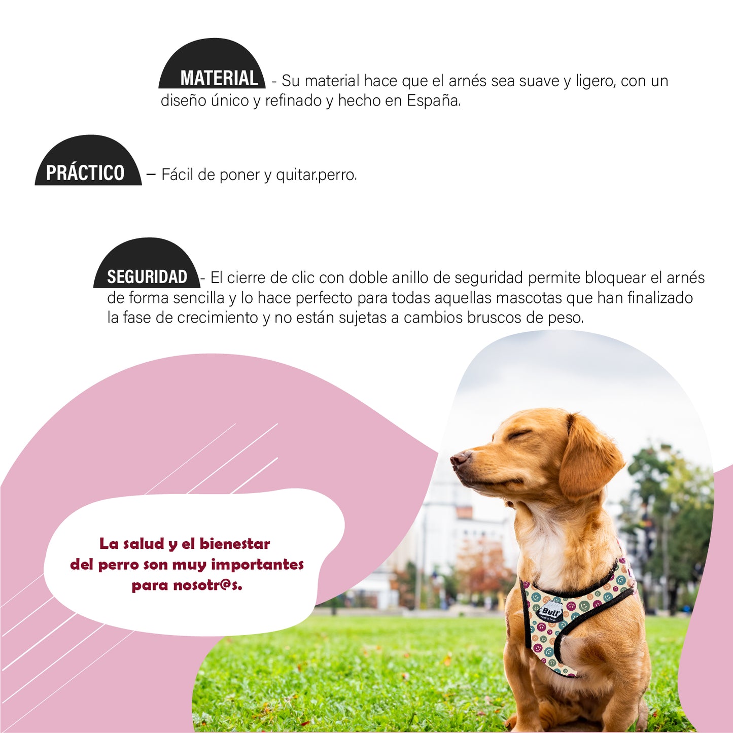 Arnés Confort para Perros - Fun Walk