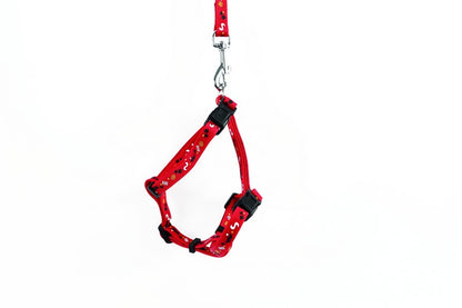 Arnes + Correa Rojo - MPETS