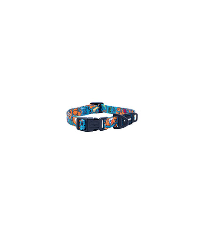 Collares - Rogz Fusion
