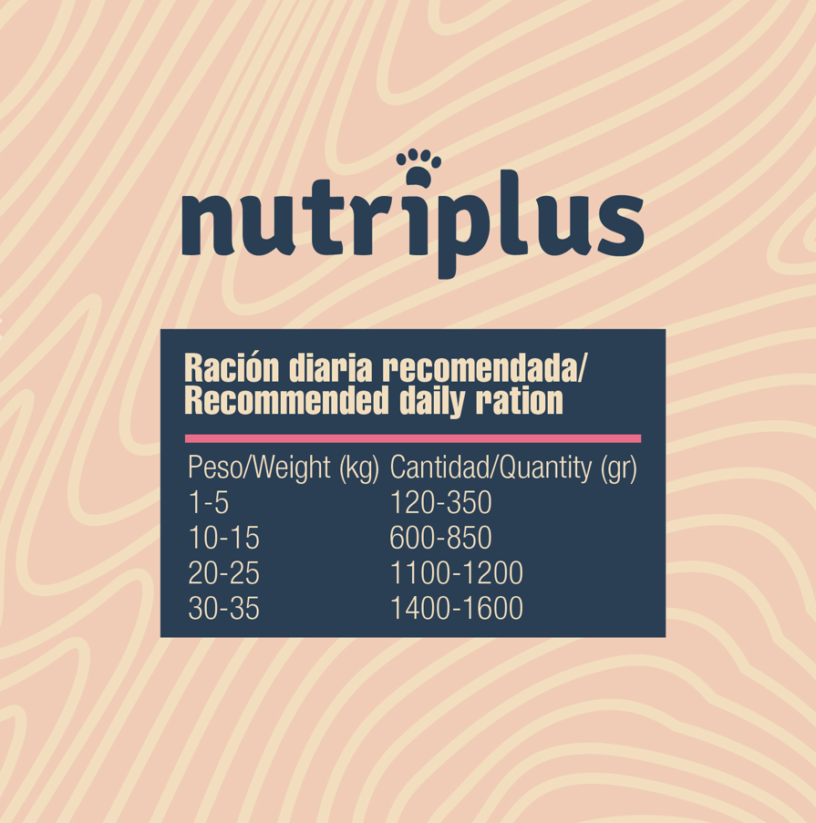 Lata de Cordero para Perros - Nutriplus