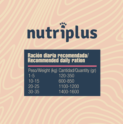 Lata de Cordero para Perros - Nutriplus