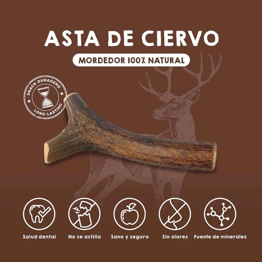 Asta de Ciervo - Maikai