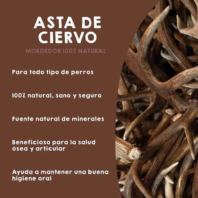 Asta de Ciervo - Maikai