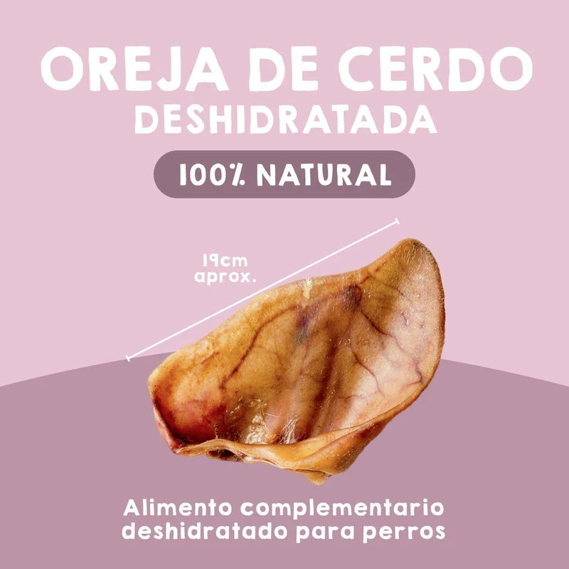 Oreja de Cerdo - Maikai