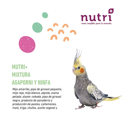 Mixtura para Ninfas y Agapornis - Nutriplus