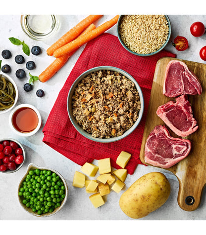 Alimentación Húmeda con Cordero para Perros Adultos - Naturo