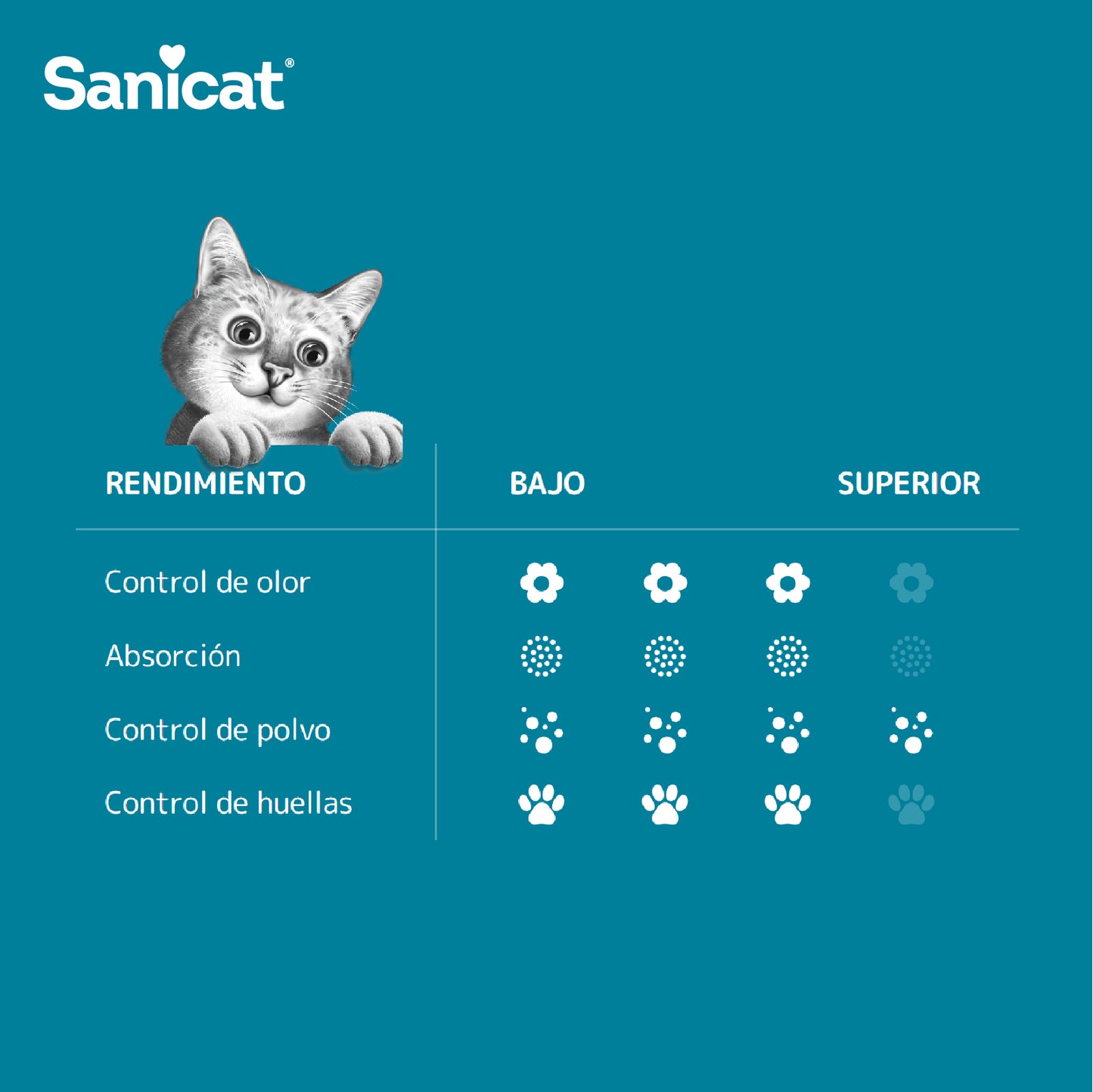 Arenas para Gatos - Sanicat