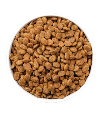 Alimento Pollo y Pavo Gatos Esterilizados - Ultra Young - Ownat