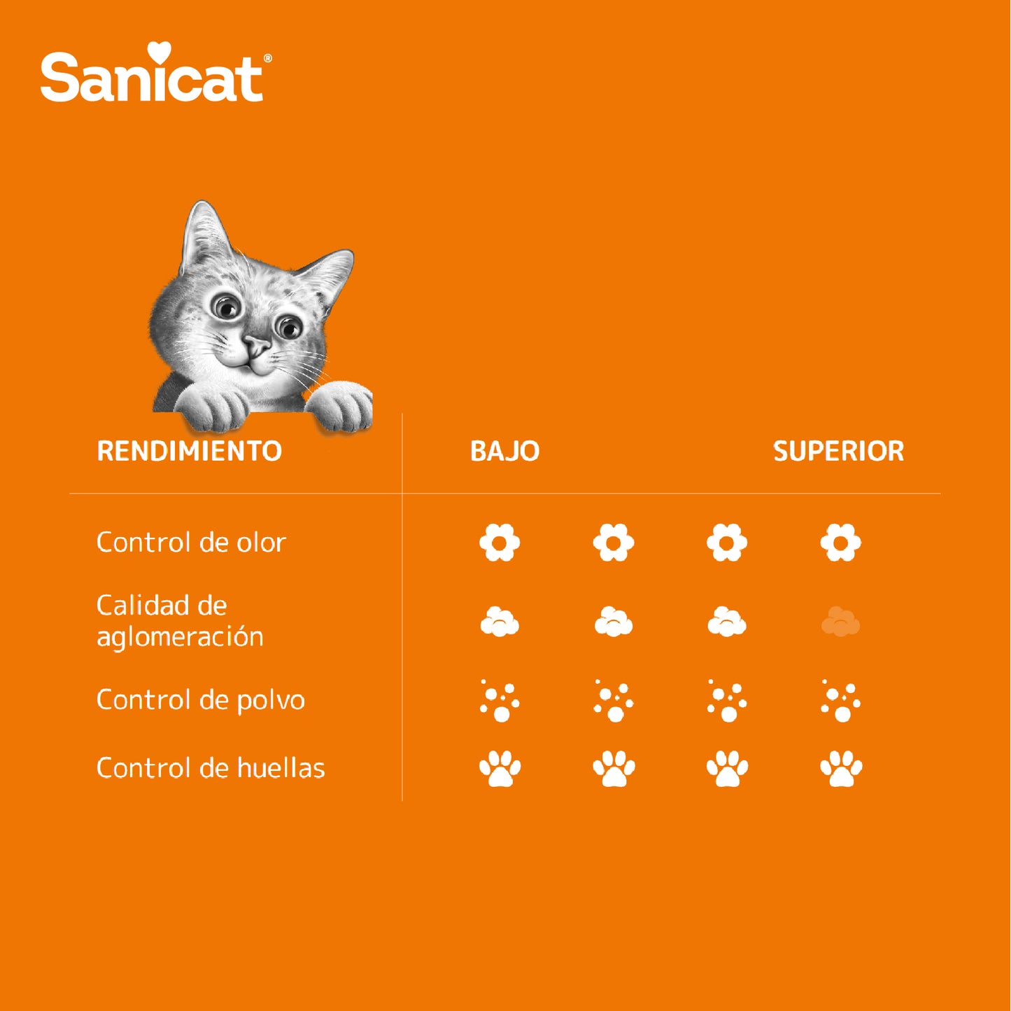 Arenas para Gatos - Sanicat